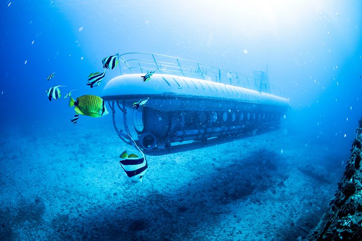 Maui Atlantis Submarine Adventure