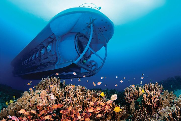 Big Island: Atlantis Submarine from Kona Beach