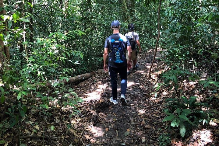 Private Full-Day Bukit Lawang Trekking Tour From Medan