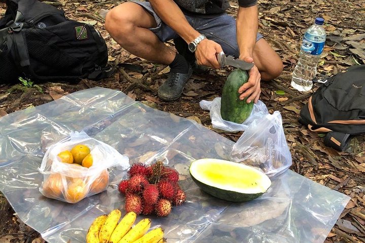 Private Full-Day Bukit Lawang Trekking Tour From Medan