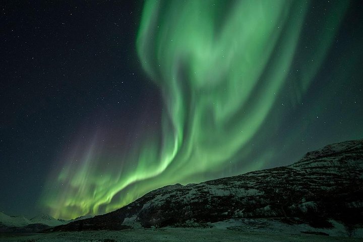 Tromso Aurora Hunt with Bonfire, Meal, Winter Suit & Photos