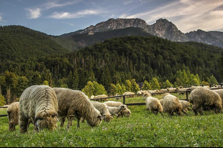 Krakow: Zakopane Tour, Thermal Springs, Cable Car & Hotel Pickup