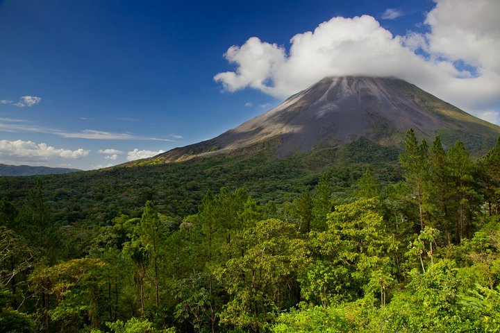 Arenal volcano, hanging bridges and sloth encounter tour.