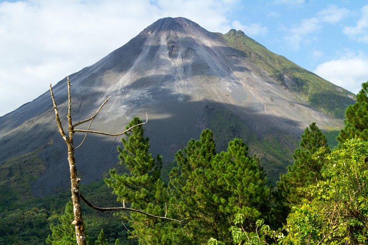 Arenal volcano, hanging bridges and sloth encounter tour.