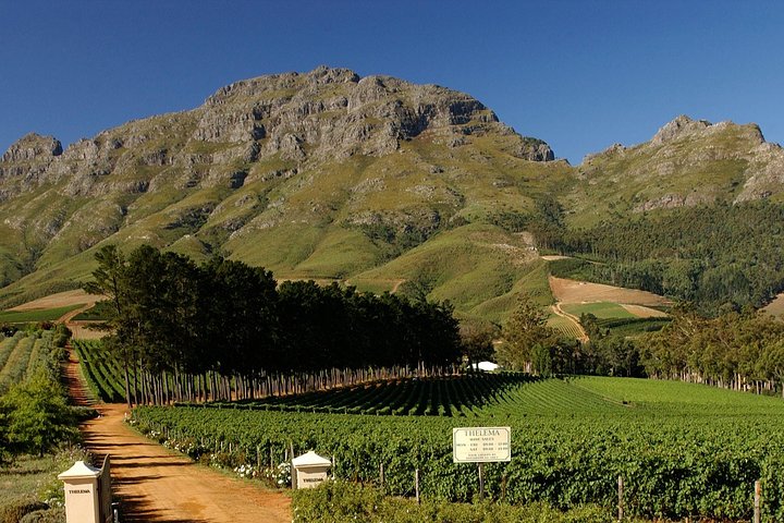 Sean's Wine Tasting Events