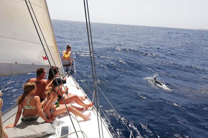 Full day Sailing yacht - Beautiful day on the Atlantic Ocean