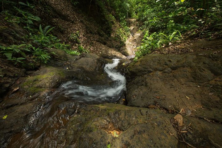 Full Day Pass Jaco Jungle Adventure Five in One with Lunch