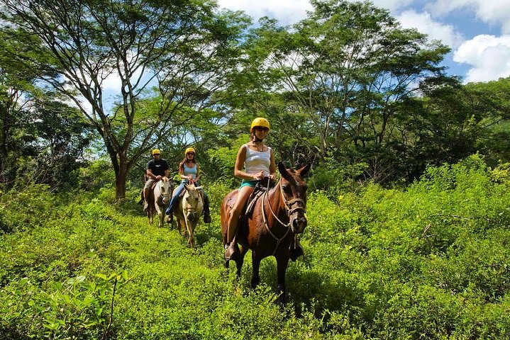 Full Day Pass Jaco Jungle Adventure Five in One with Lunch