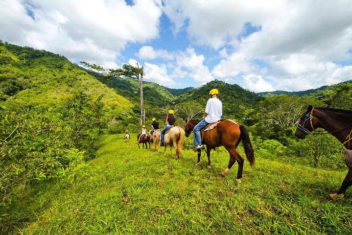 Full Day Pass Jaco Jungle Adventure Five in One with Lunch