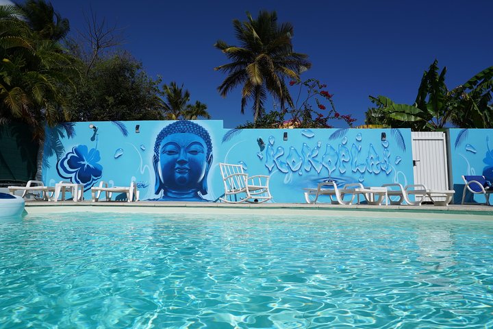 Surf lessons 1h30 (4-6 people) Kokoplaj Surf camp Guadeloupe school