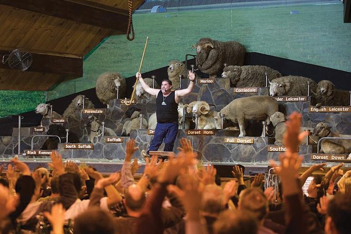Agrodome Farm Experience including Farm Show and Farm Tour - Rotorua