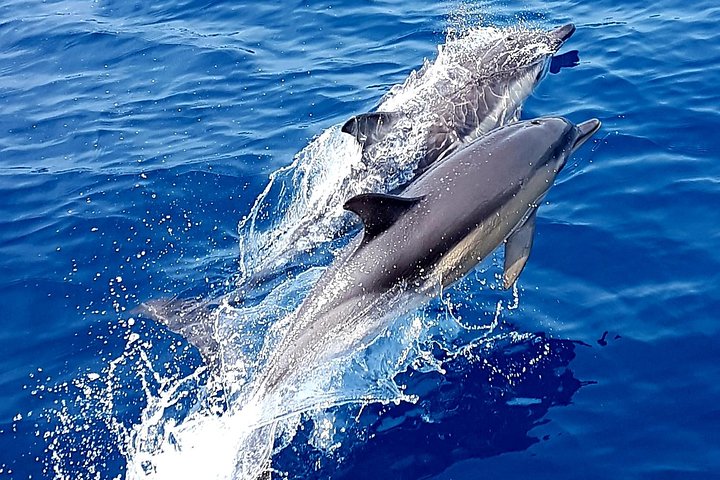 All-Inclusive Full-Day Cruise & Lunch