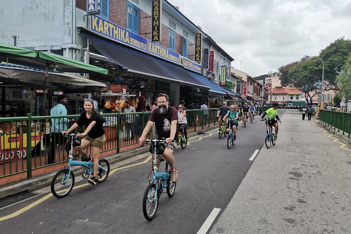 Lion City Bike Tour of Singapore