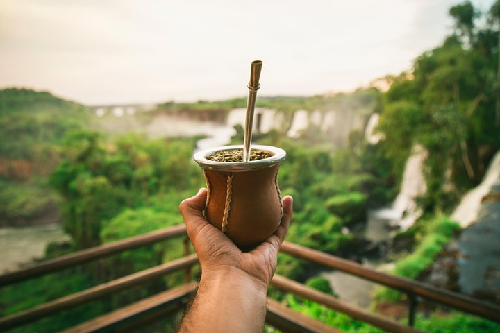 Iguazu Falls Tour, Boat Ride, Train and Safari Truck
