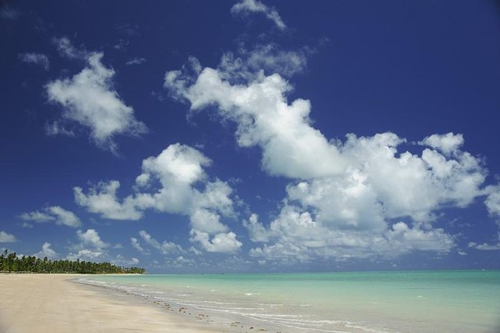 Private Transfer from Recife to Maragogi 01 to 06 Pax by Geotur Receptives