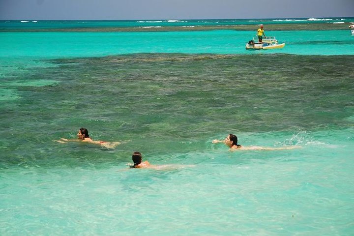 Private Transfer from Recife to Maragogi 01 to 06 Pax by Geotur Receptives