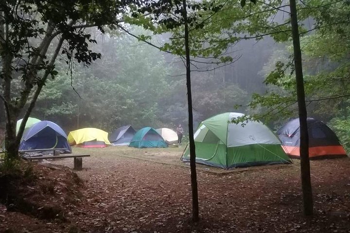 La Tigra Cloud Forest Hiking Adventure