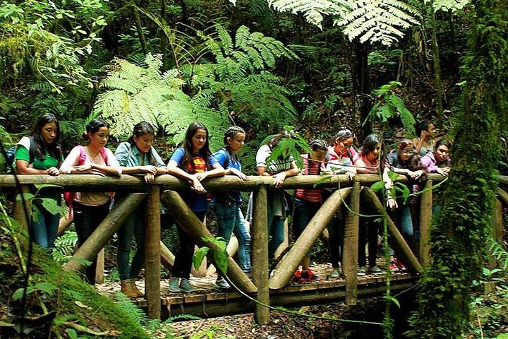 La Tigra Cloud Forest Hiking Adventure