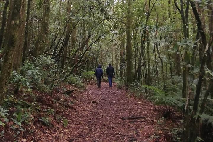 La Tigra Cloud Forest Hiking Adventure