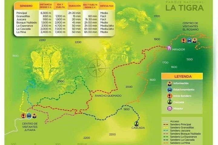 La Tigra Cloud Forest Hiking Adventure