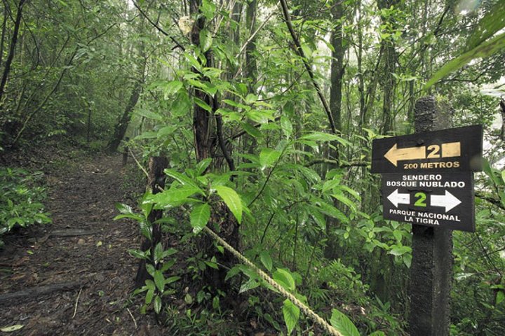 La Tigra Cloud Forest Hiking Adventure