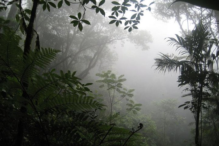 La Tigra Cloud Forest Hiking Adventure