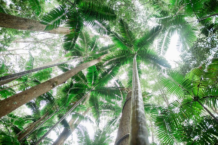 K'gari (Fraser Island) Explorer 2-Day Tour