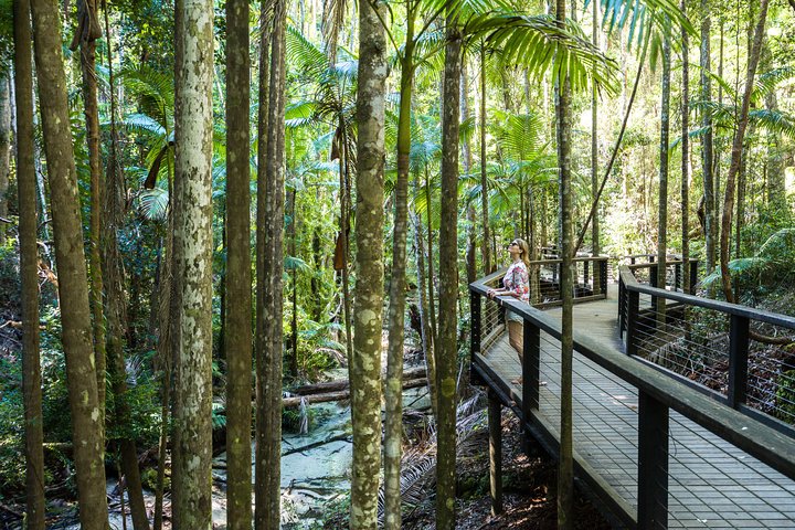 K'gari (Fraser Island) All Inclusive Day Tour