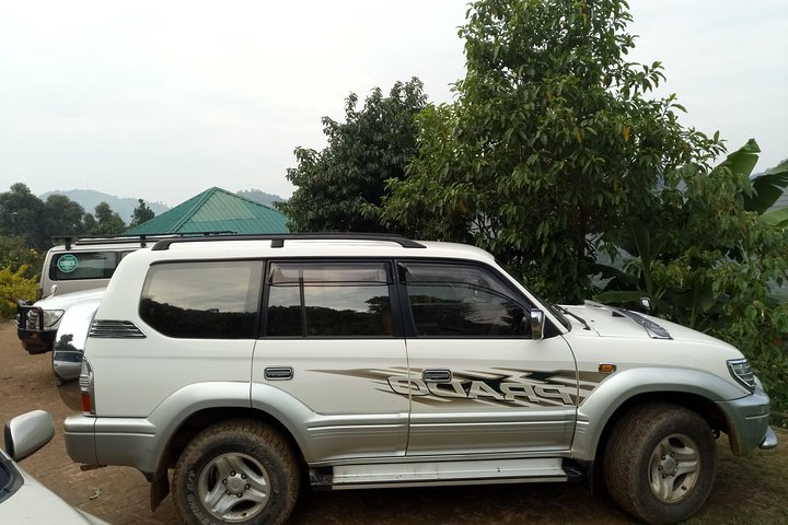 Day Vehicle Transfer from Kisoro to Mgahinga Gorilla National park
