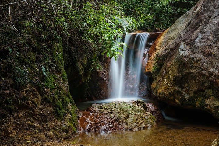 La Tigra Cloud Forest Hiking Adventure