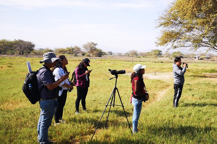 Nature tour, Pómac Forest with picnic breakfast included.