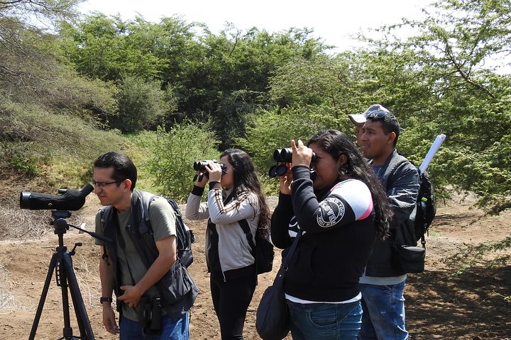 Nature tour, Pómac Forest with picnic breakfast included.