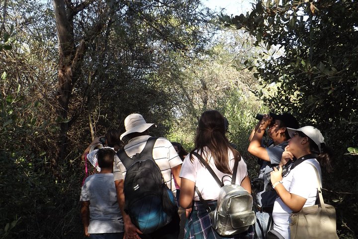 Nature tour, Pómac Forest with picnic breakfast included.
