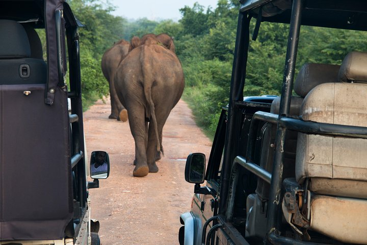 03 Days Highlights Of Sigiriya,Kandy,Nuwara Eliya ,Ella & Udawalawe