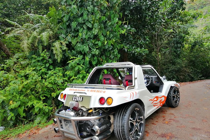 Island tour by buggy or SUV, as requested