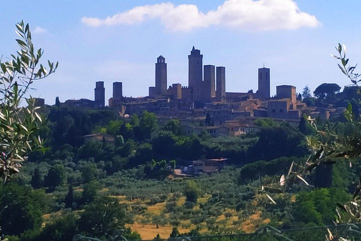Private Tuscan Cooking Class And Wine Tasting in Radda in Chianti