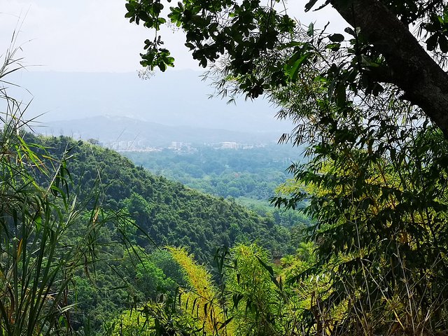 Private Tour - Piedecuesta Waterfall (Hiking/Trekking)