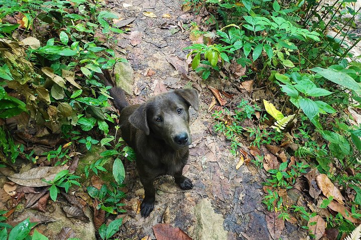 Private Tour - Piedecuesta Waterfall (Hiking/Trekking)