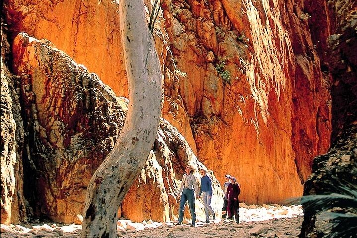 West MacDonnell Ranges Day Trip from Alice Springs