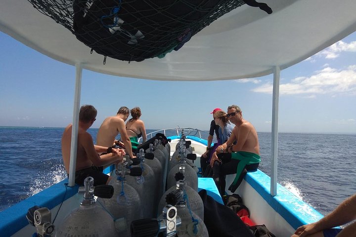 Menjangan island snorkeling full day boat trip