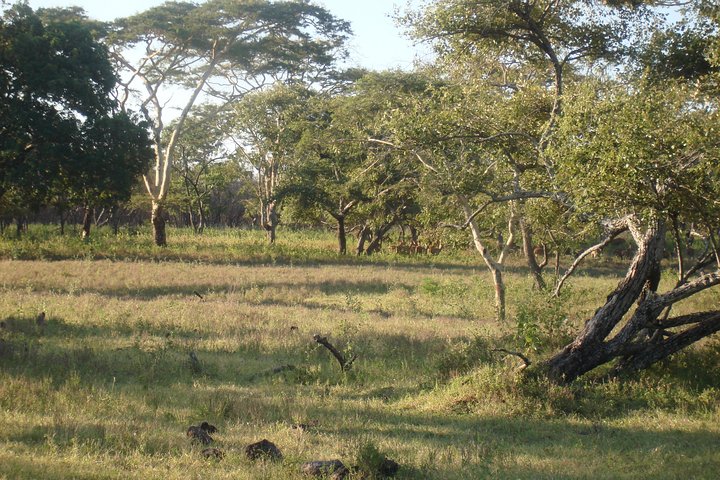 Baluran Trip