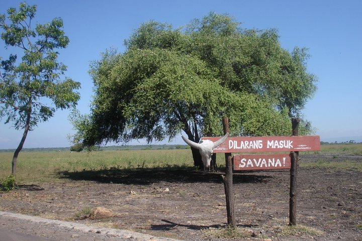 Baluran Trip