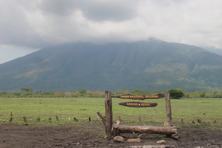 Baluran Trip