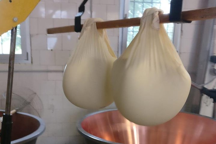 Tour Parmigiano Reggiano dairy and Parma ham
