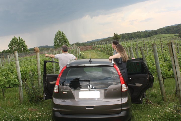 Private Tour in Vale dos Vinhedos in Bento Gonçalves RS