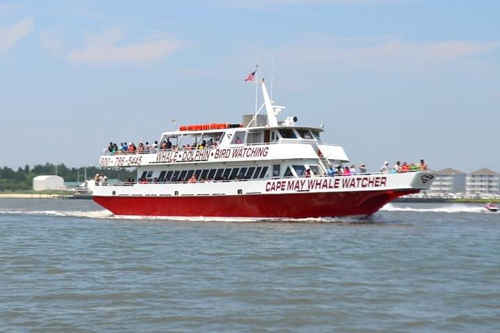 Dinner Cruise with Dolphin Watching from Cape May