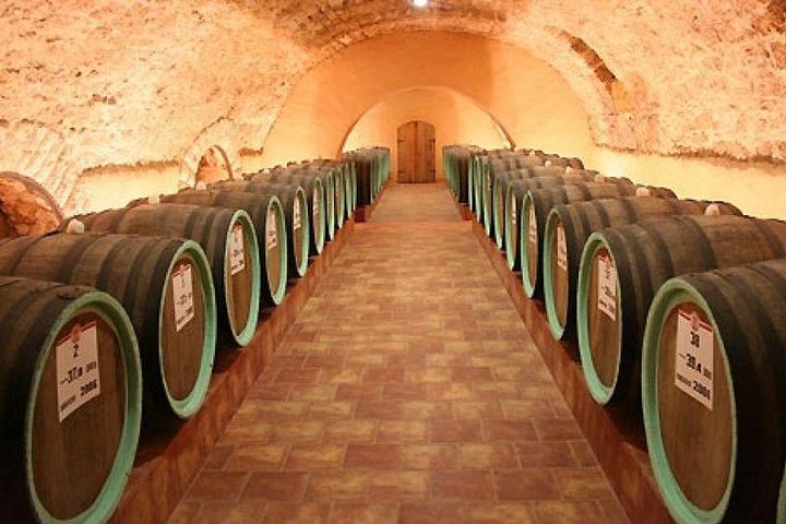 Full-Day Shabo Wine Culture Center Private Tour in Odessa