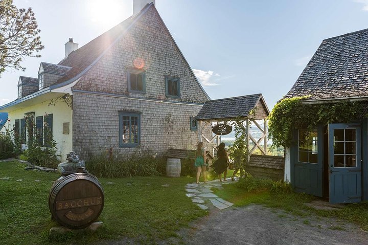 Island of Orleans Taste and Drink Tour