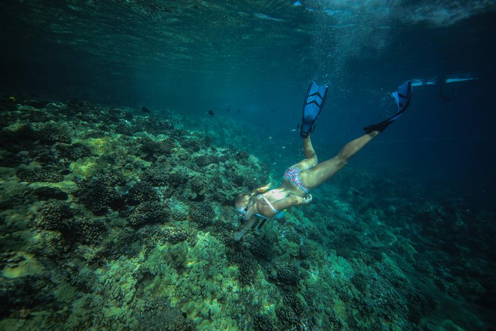 Maui Snorkeling Adventure From Ma'alaea Harbor to Molokini
