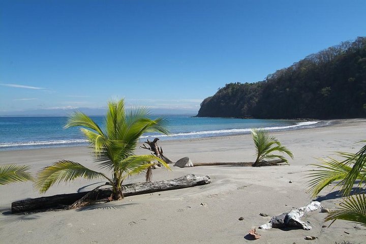 10 in 1 Puntarenas Highlights tour